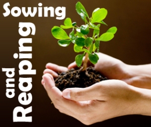 sowing-reaping